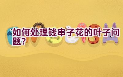 如何处理钱串子花的叶子问题？插图