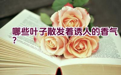 哪些叶子散发着诱人的香气?插图 哪些叶子散发着诱人的香气?插图