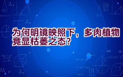 为何明镜映照下，多肉植物竟显枯萎之态？插图