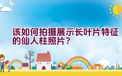 该如何拍摄展示长叶片特征的仙人柱照片？插图