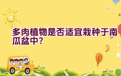 多肉植物是否适宜栽种于南瓜盆中？插图