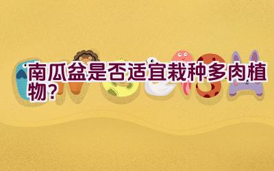 南瓜盆是否适宜栽种多肉植物？插图