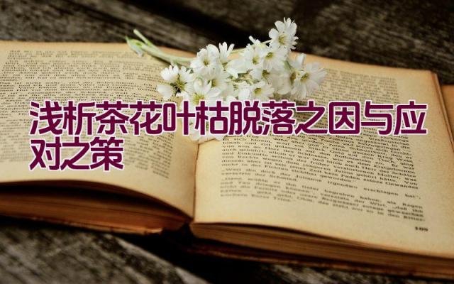 浅析茶花叶枯脱落之因与应对之策插图