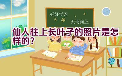 仙人柱上长叶子的照片是怎样的？插图