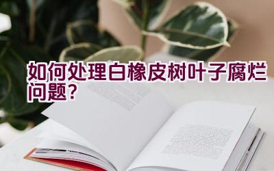 如何处理白橡皮树叶子腐烂问题？插图