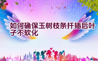 如何确保玉树枝条扦插后叶子不软化插图 如何确保玉树枝条扦插后叶子不软化插图