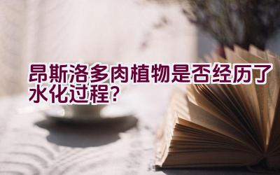 昂斯洛多肉植物是否经历了水化过程？插图