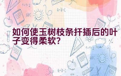 如何使玉树枝条扦插后的叶子变得柔软？插图