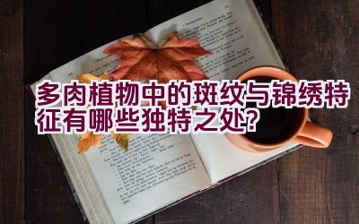 多肉植物中的斑纹与锦绣特征有哪些独特之处？插图