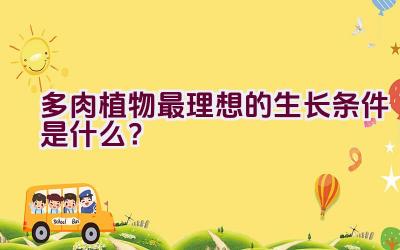 多肉植物最理想的生长条件是什么？插图