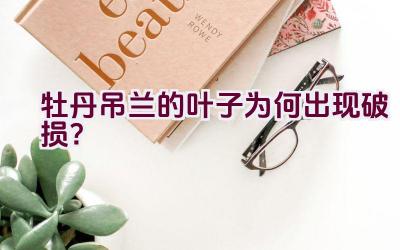 牡丹吊兰的叶子为何出现破损?插图 牡丹吊兰的叶子为何出现破损?插图