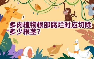 多肉植物根部腐烂时应切除多少根茎？插图