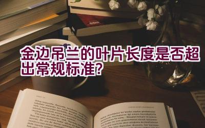 金边吊兰的叶片长度是否超出常规标准？插图