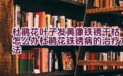 杜鹃花叶子发黄像铁锈干枯怎么办（杜鹃花铁锈病的治疗方法）插图