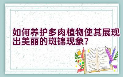 如何养护多肉植物使其展现出美丽的斑锦现象?插图 如何养护多肉植物使其展现出美丽的斑锦现象?插图