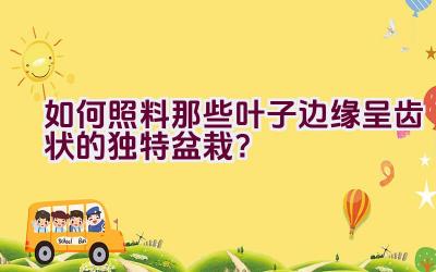 如何照料那些叶子边缘呈齿状的独特盆栽？插图