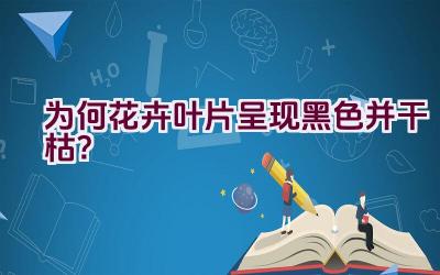 为何花卉叶片呈现黑色并干枯？插图