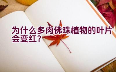 为什么多肉佛珠植物的叶片会变红？插图