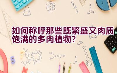 如何称呼那些既繁盛又肉质饱满的多肉植物？插图