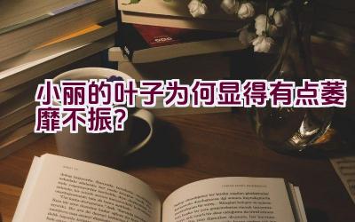 小丽的叶子为何显得有点萎靡不振？插图