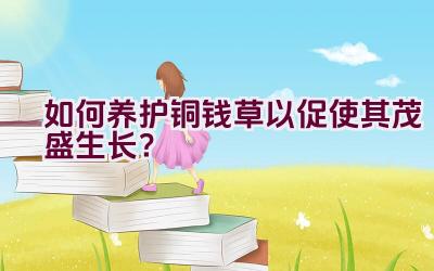 如何养护铜钱草以促使其茂盛生长？插图