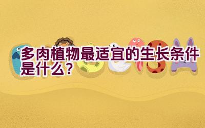 多肉植物最适宜的生长条件是什么？插图