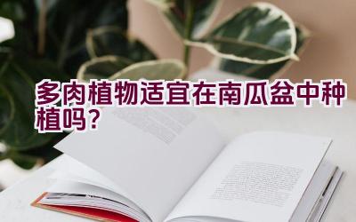 多肉植物适宜在南瓜盆中种植吗？插图