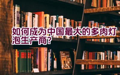 如何成为中国最大的多肉灯泡生产商？插图