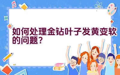 如何处理金钻叶子发黄变软的问题？插图