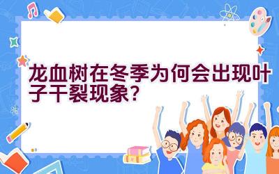 龙血树在冬季为何会出现叶子干裂现象？插图