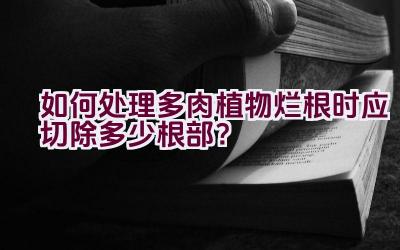 如何处理多肉植物烂根时应切除多少根部？插图