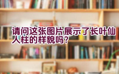 请问这张图片展示了长叶仙人柱的样貌吗？插图