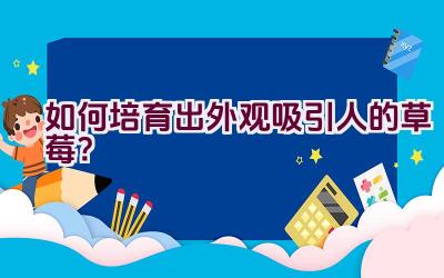 如何培育出外观吸引人的草莓?插图 如何培育出外观吸引人的草莓?插图
