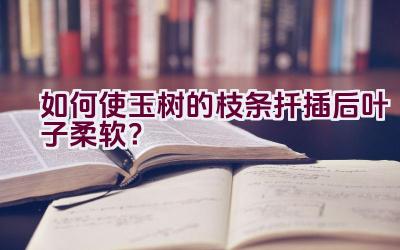 如何使玉树的枝条扦插后叶子柔软？插图