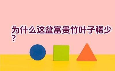 为什么这盆富贵竹叶子稀少？插图