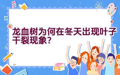 龙血树为何在冬天出现叶子干裂现象？插图