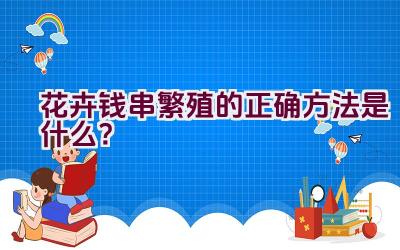 花卉钱串繁殖的正确方法是什么？插图