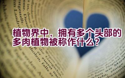 植物界中，拥有多个头部的多肉植物被称作什么？插图