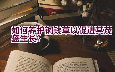 如何养护铜钱草以促进其茂盛生长？插图