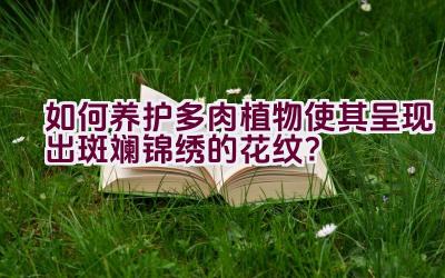 如何养护多肉植物使其呈现出斑斓锦绣的花纹？插图