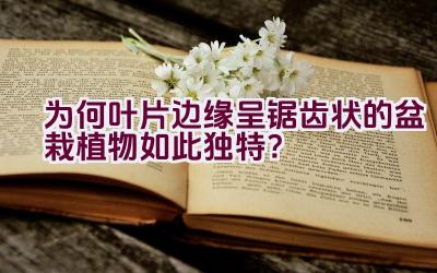 “为何叶片边缘呈锯齿状的盆栽植物如此独特？”插图