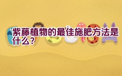 紫藤植物的最佳施肥方法是什么？插图