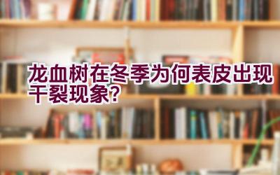 龙血树在冬季为何表皮出现干裂现象？插图