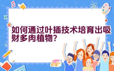 如何通过叶插技术培育出吸财多肉植物？插图