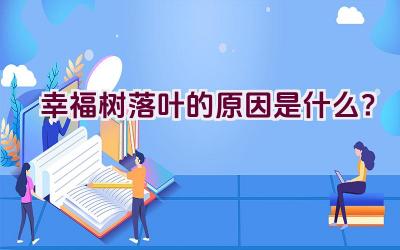 幸福树落叶的原因是什么？插图