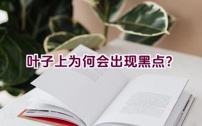 叶子上为何会出现黑点？插图