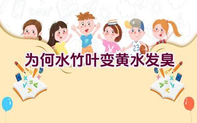 为何水竹叶变黄水发臭插图 为何水竹叶变黄水发臭插图