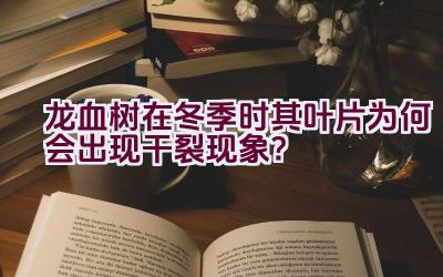 龙血树在冬季时其叶片为何会出现干裂现象？插图