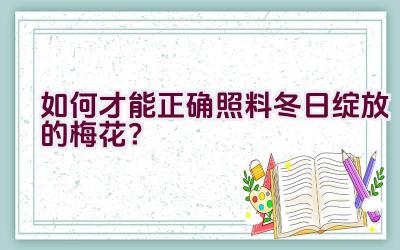 如何才能正确照料冬日绽放的梅花？插图