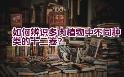 如何辨识多肉植物中不同种类的十二卷？插图